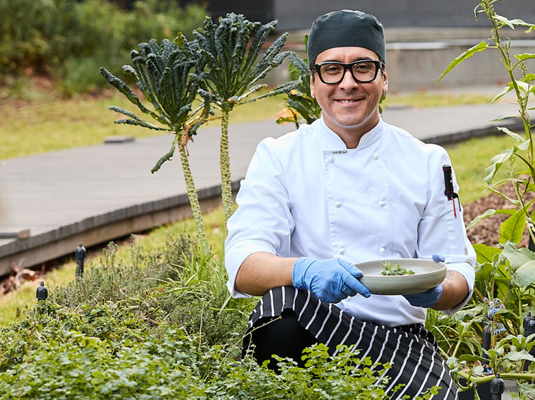 Chef picking fresh herbs in garden