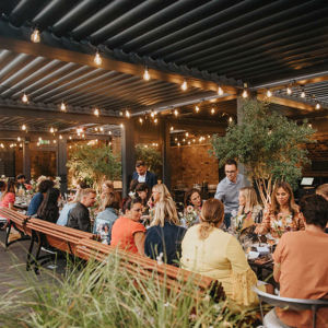 Guests sitting at beautifully lit venue enjoying food and drink