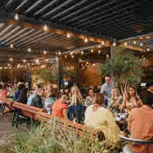 Guests sitting at beautifully lit venue enjoying food and drink